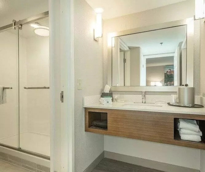 スイート, Holiday Inn Hotel And Suites Peachtree City, An Ihg