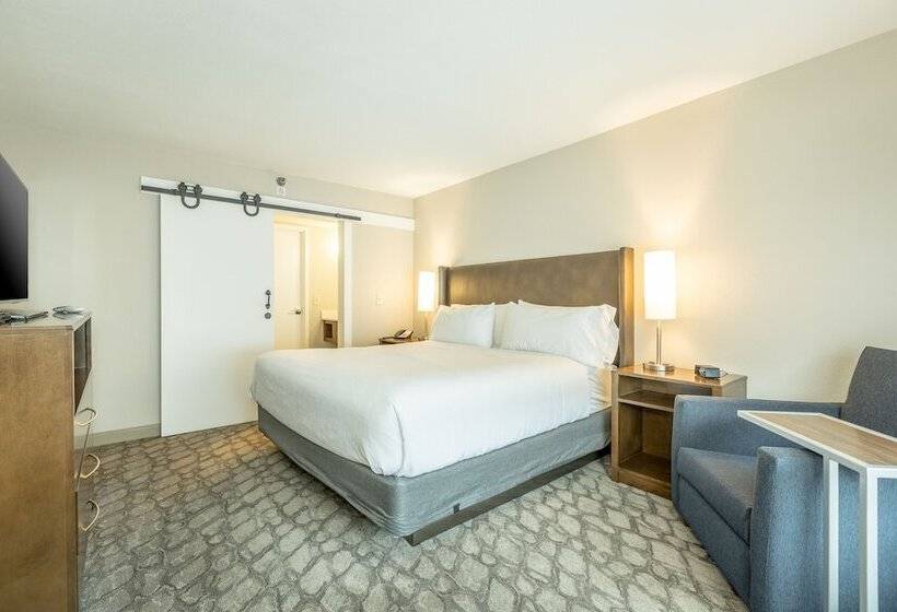 جناح, Holiday Inn Hotel And Suites Peachtree City, An Ihg