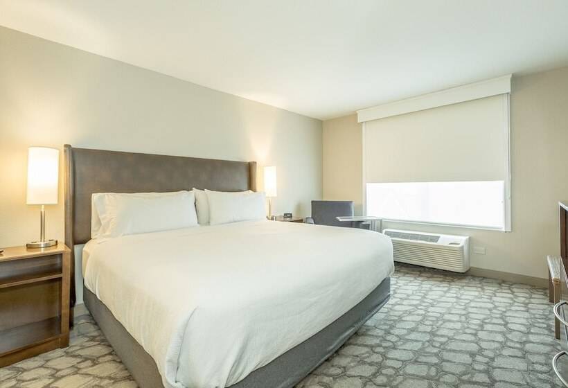 جناح, Holiday Inn Hotel And Suites Peachtree City, An Ihg