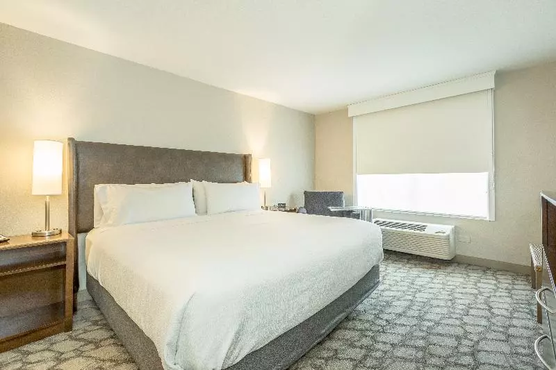 キングサイズベッドのスタンダードルーム, Holiday Inn Hotel And Suites Peachtree City, An Ihg
