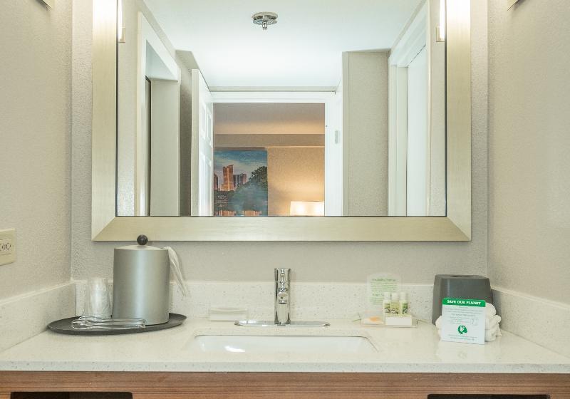 غرفة قياسية سرير كينج لذوى الإحتياجات الخاصة, Holiday Inn Hotel And Suites Peachtree City, An Ihg