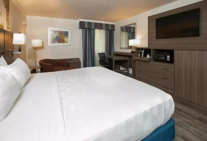 اتاق استاندارد با تخت بزرگ برای معلولان, Holiday Inn   Executive Center Columbia Mall, An Ihg