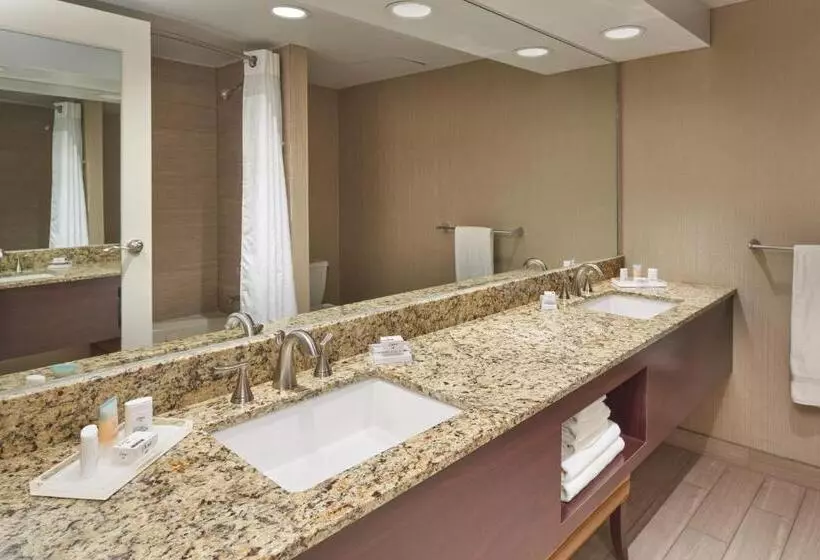 سوییت, Holiday Inn   Executive Center Columbia Mall, An Ihg