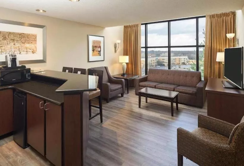 سوئیت با چشم‌انداز, Holiday Inn   Executive Center Columbia Mall, An Ihg
