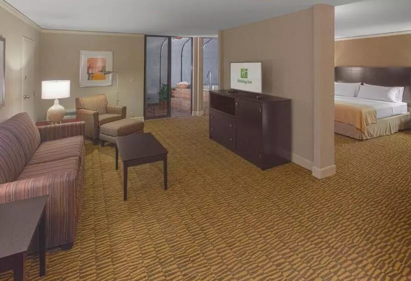 سوییت, Holiday Inn   Executive Center Columbia Mall, An Ihg