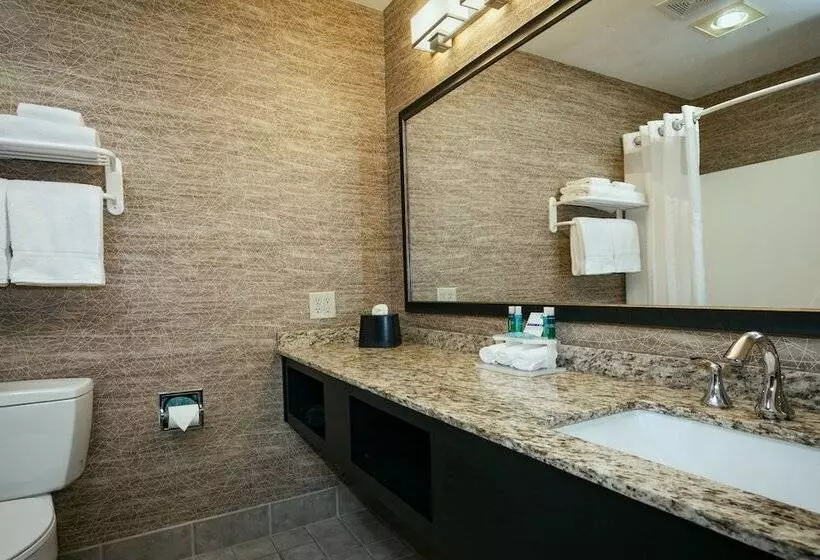 Standard-huone, Holiday Inn Express Anchorage By Ihg