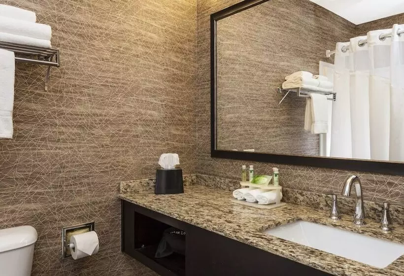 Standard-huone, Holiday Inn Express Anchorage By Ihg