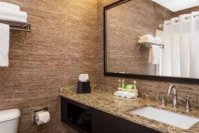 Standard-huone King-vuode, Holiday Inn Express Anchorage By Ihg