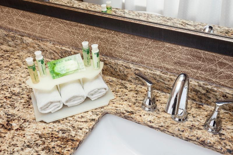 غرفة قياسية سرير كينج, Holiday Inn Express Anchorage By Ihg