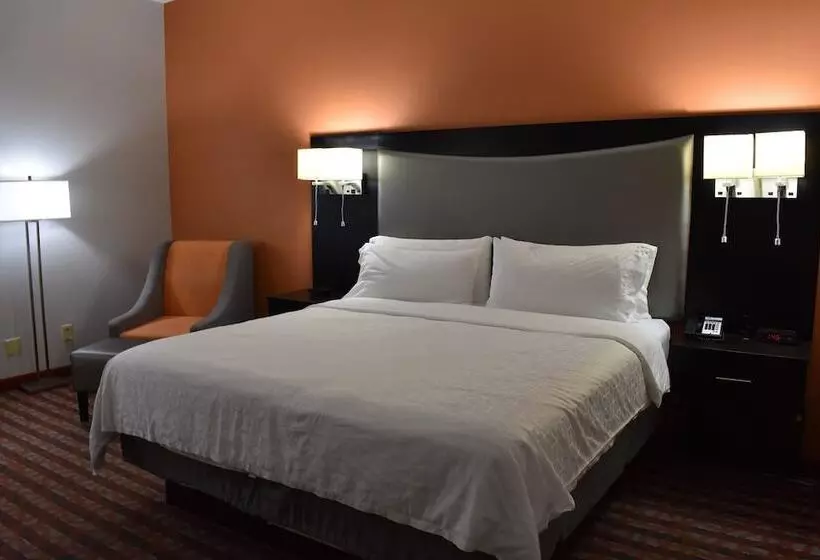 سوییت, Holiday Inn Express & Suites Nashville Southeast   Antioch, An Ihg