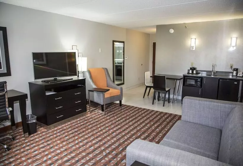 سوییت, Holiday Inn Express & Suites Nashville Southeast   Antioch, An Ihg