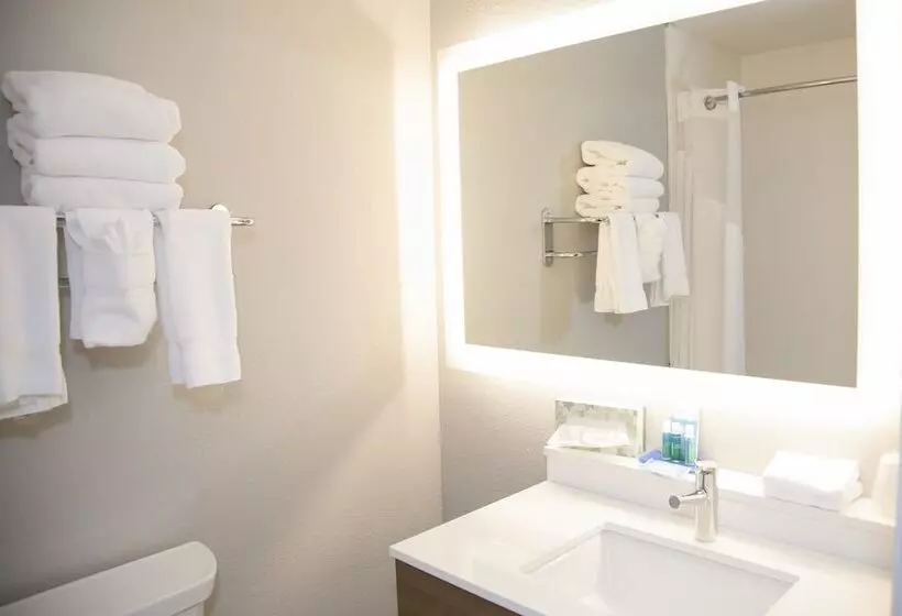 スイート, Holiday Inn Express & Suites Colorado Springs North, An Ihg