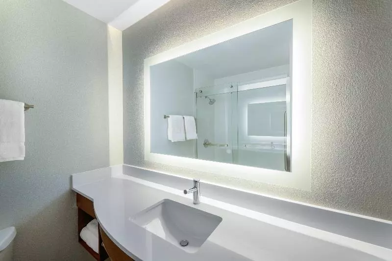 スタンダードルーム, Holiday Inn Express & Suites Colorado Springs North, An Ihg