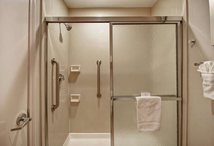 סוויטת 2 חדרי שינה, Homewood Suites By Hilton Atlantagalleria/cumberland