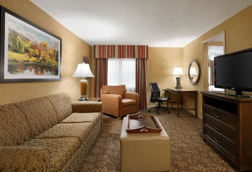 套房, Homewood Suites By Hilton Syracuse/liverpool