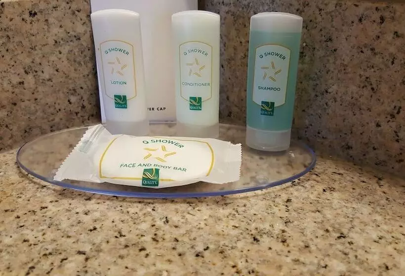 ２ダブルベッドのスタンダードルーム, Quality Inn & Suites Conference Center
