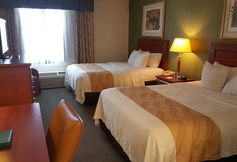 带2个双人床的标准工作室, Quality Inn & Suites Conference Center