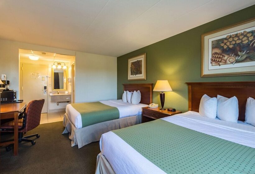 带2个双人床的标准工作室, Quality Inn & Suites Conference Center