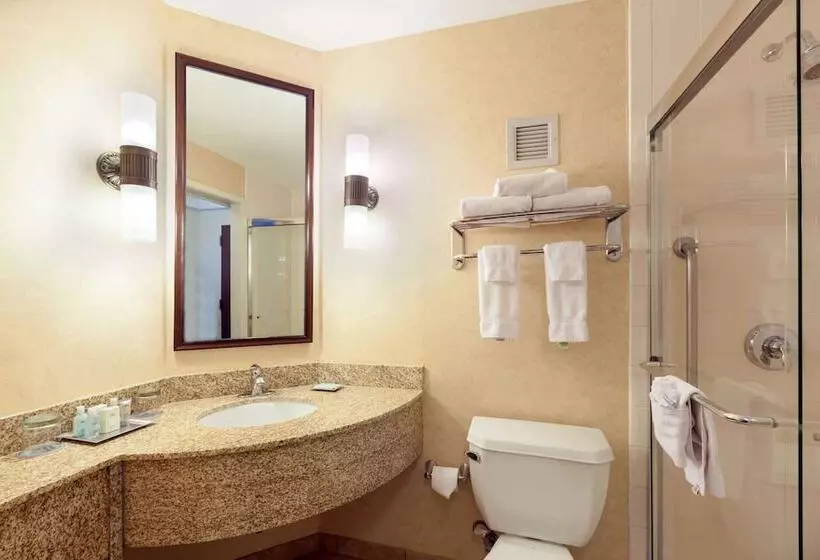 اتاق استاندارد با 2 تخت دوبل, Wyndham Boston Beacon Hill