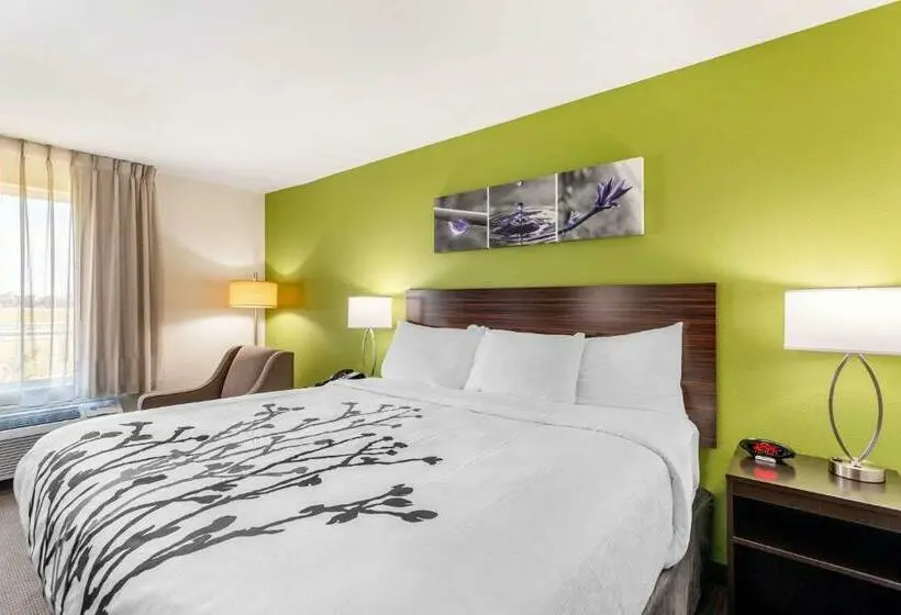 キングサイズベッドのスタンダードルーム, Sleep Inn & Suites Gallatin Nashville Metro