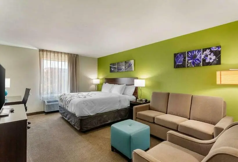 キングサイズベッドのスイートルーム, Sleep Inn & Suites Gallatin Nashville Metro