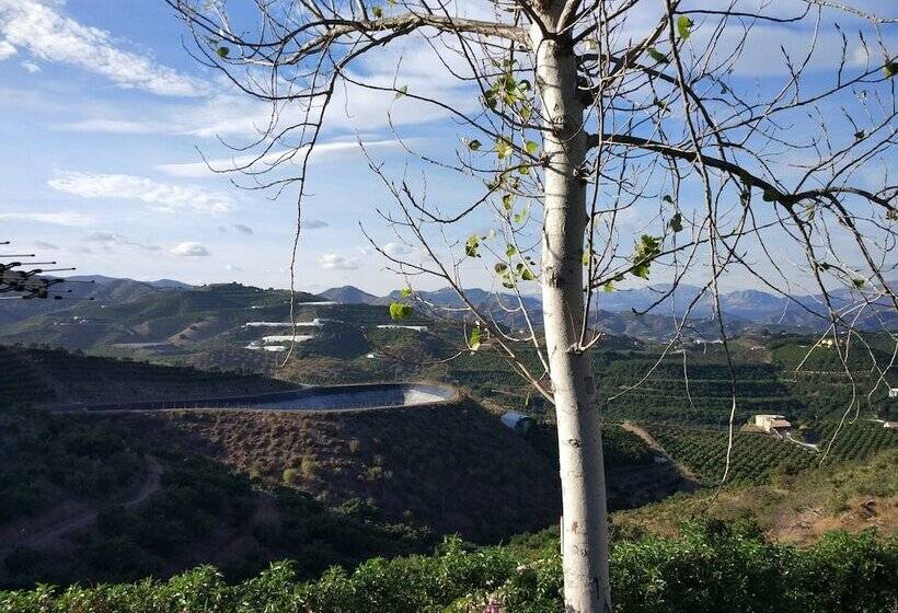 بنجلو سوبيريور, Camping Iznate