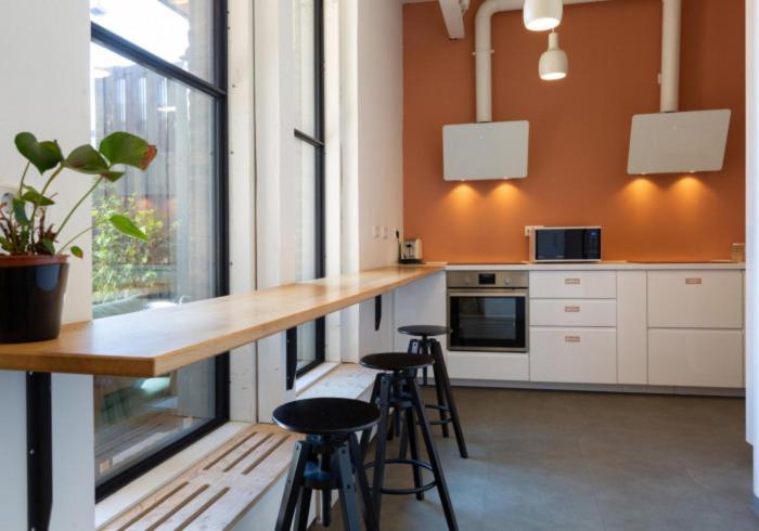 공동 객실, Pink Flamingo Boutique Hostel