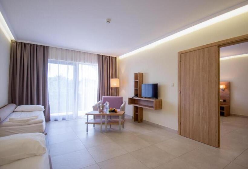 شقة غرفة واحدة, Belvedere Hotel All Inclusive