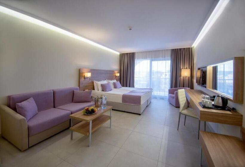اتاق استاندارد, Belvedere Hotel   All Inclusive