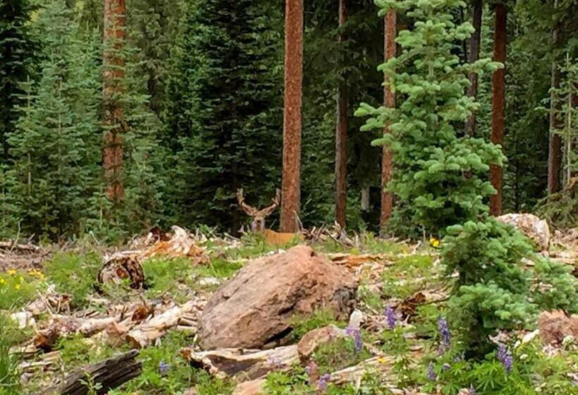 Люкс Кровать Кинг, Arrowhead Mountain Lodge