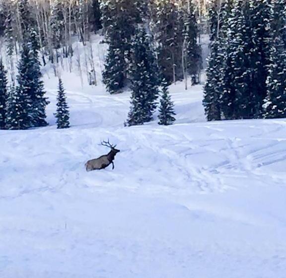 Люкс Кровать Кинг, Arrowhead Mountain Lodge