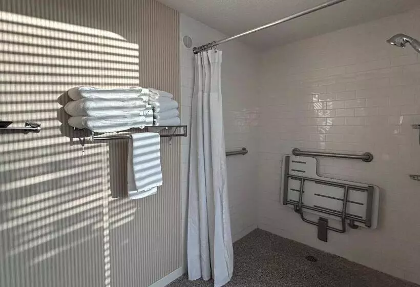 اتاق استاندارد با تخت بزرگ برای معلولان, Fort Pontchartrain Detroit, A Wyndham