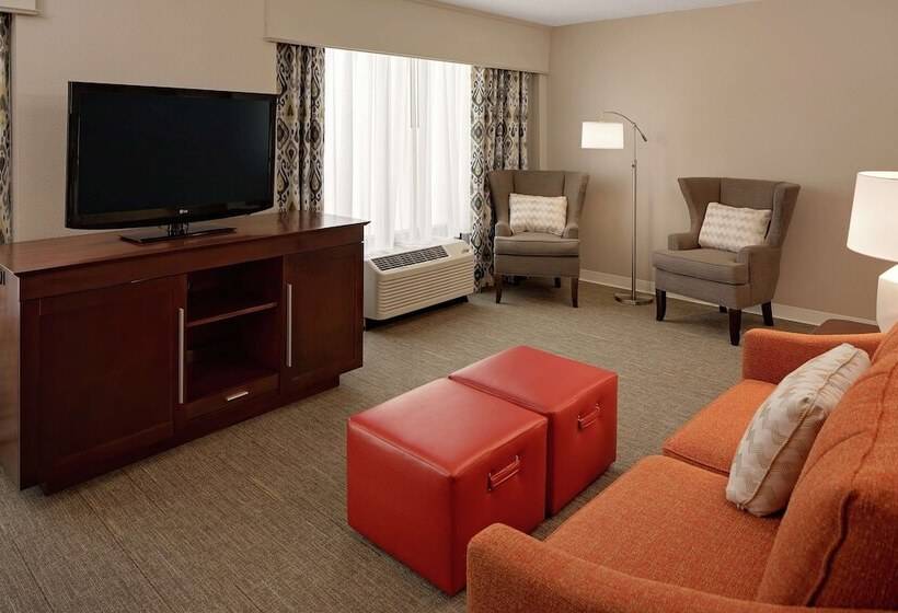 스위트, Hampton Inn Louisville Downtown