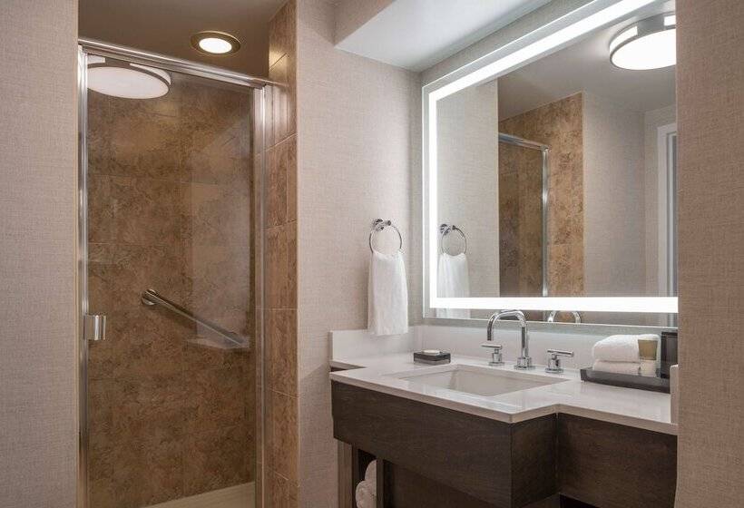 جناح, Hyatt Regency Orlando International Airport