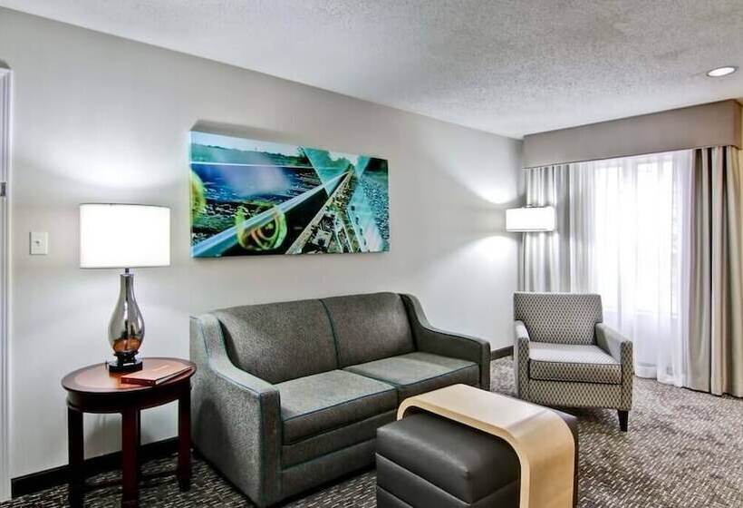 套房, Poplar Inn And Suites