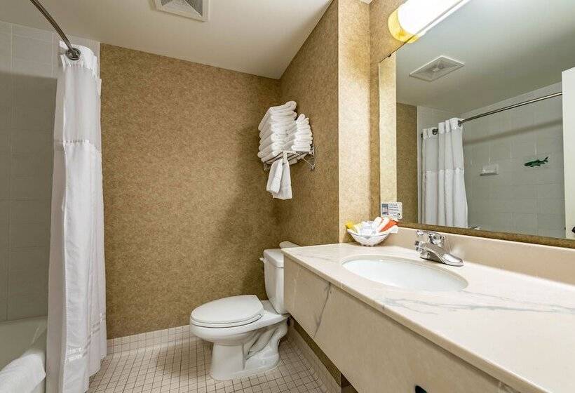 غرفة قياسية, The Inn At Gig Harbor