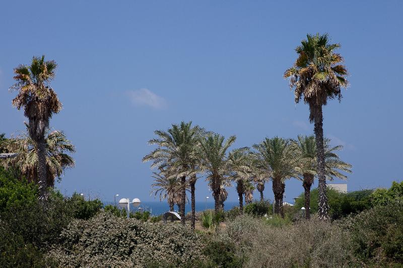 جناح سرير كينج, The Inn At Gig Harbor