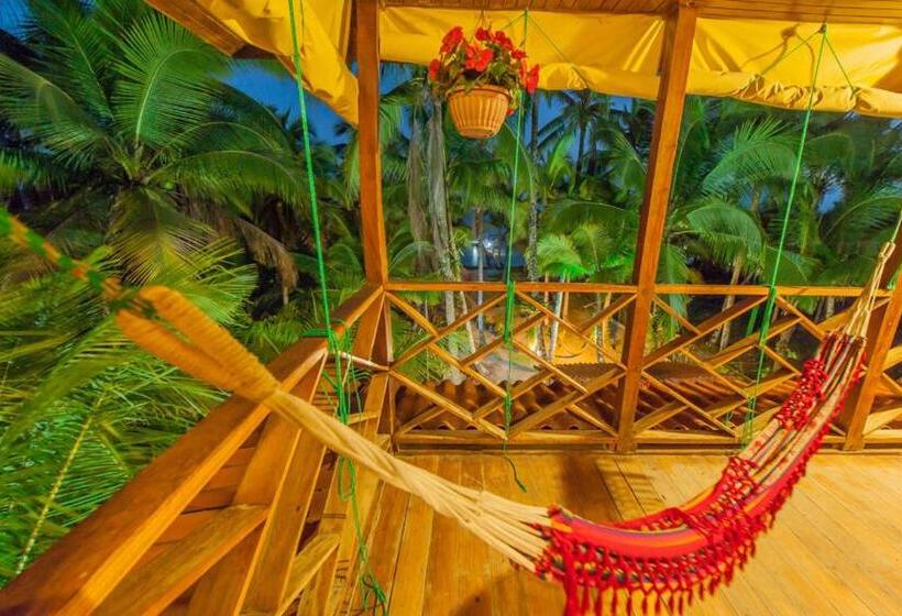 جناح ديلوكس مطل على البحر, Tierra Verde Bed And Breakfast