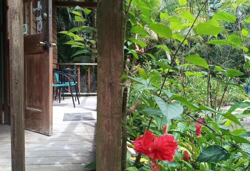 بنجلو قياسى غرفتين نوم, Tierra Verde Bed And Breakfast