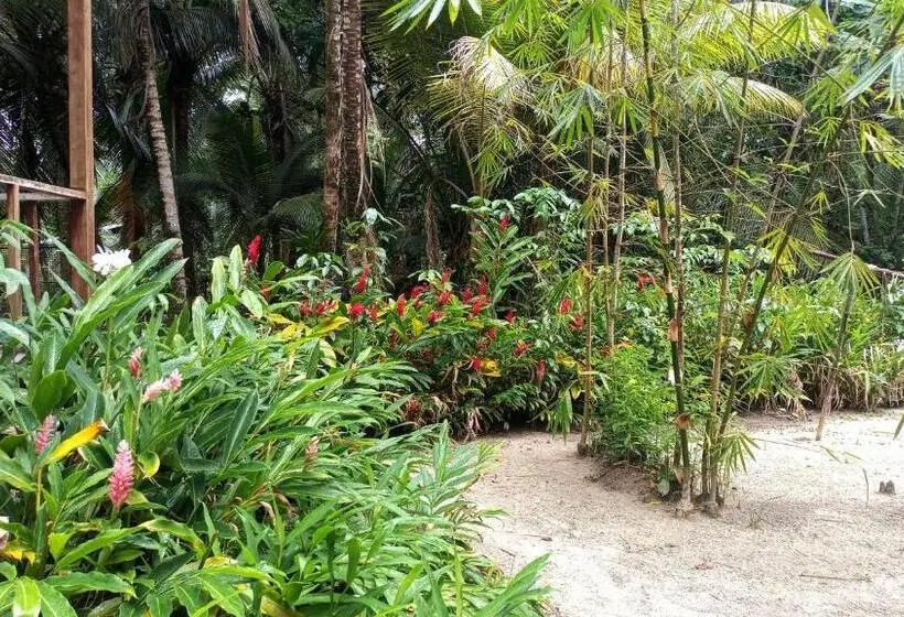 بانگلوی استاندارد 2 خوابه, Tierra Verde Bed And Breakfast