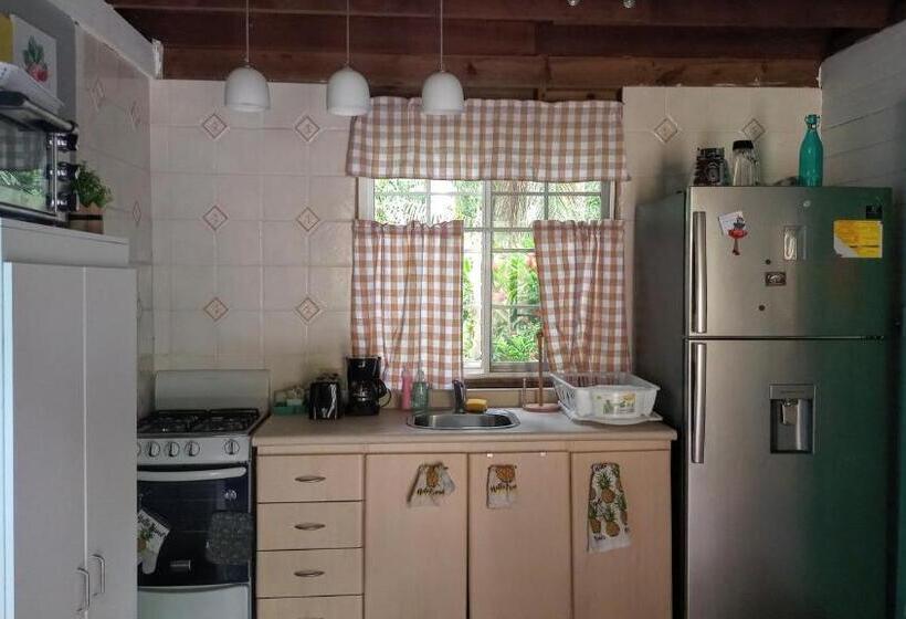 بنجلو قياسى غرفتين نوم, Tierra Verde Bed And Breakfast