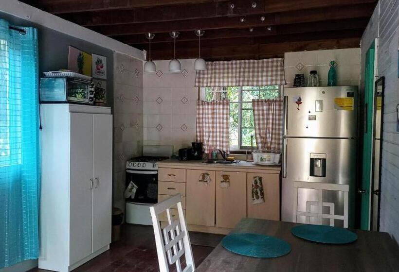 بنجلو قياسى غرفتين نوم, Tierra Verde Bed And Breakfast