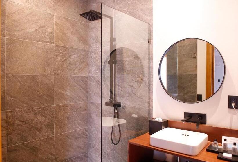 سوییت سوپریور, Casa De La Luz Hotel Boutique