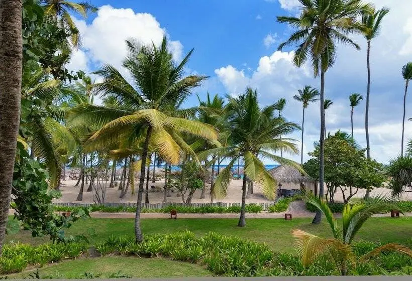 سوییت جونیور با چشم‌انداز دریا, Iberostar Selection Coral Bávaro