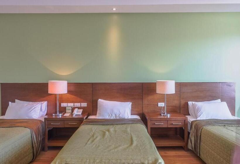 اتاق استاندارد سه تخته با چشمانداز, Mansion Garden