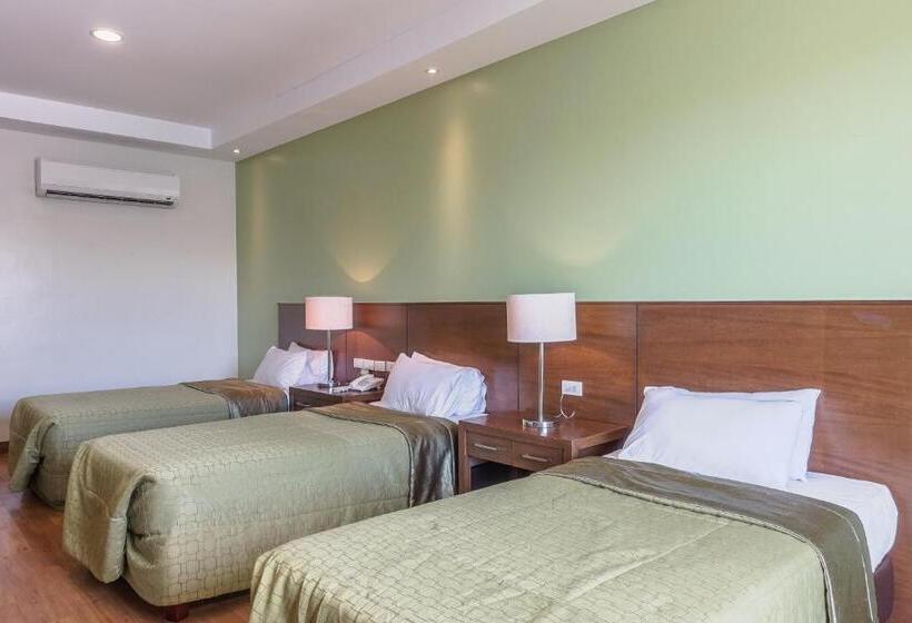 اتاق استاندارد سه تخته با چشمانداز, Mansion Garden