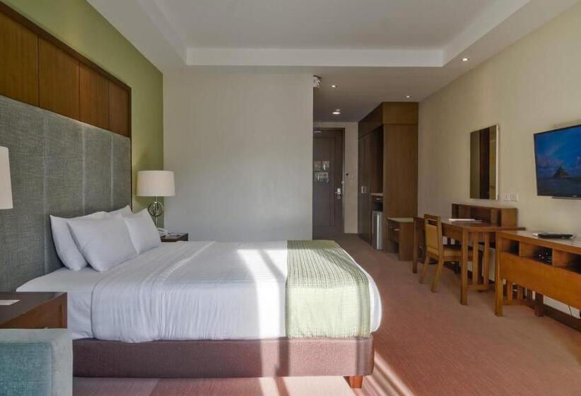 سوییت, Mansion Garden