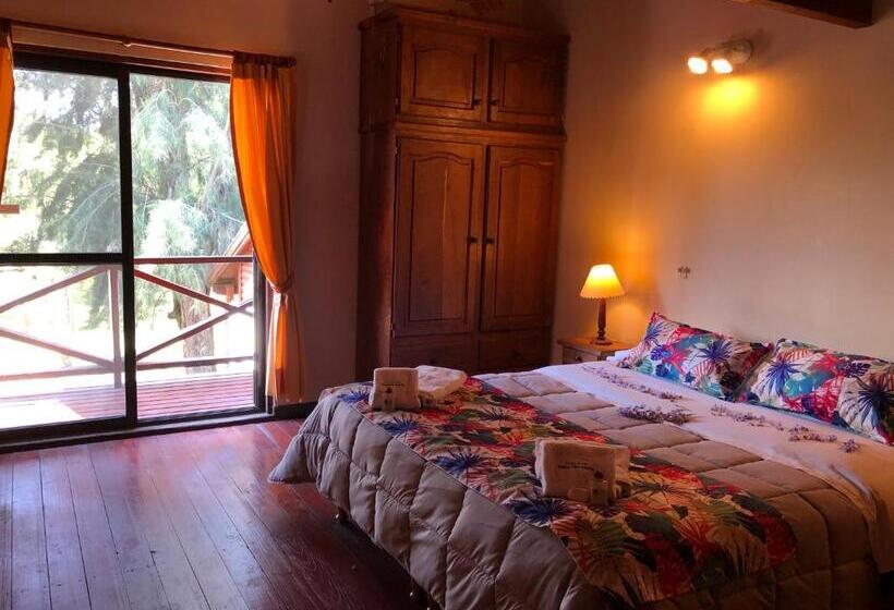 شقة غرفة واحدة, Aires Del Delta