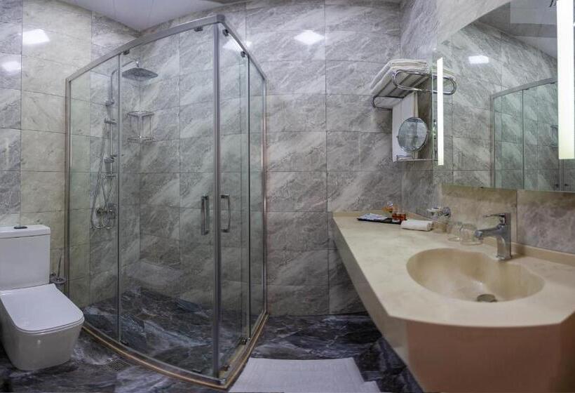 חדר סטנדרט נוף לגינה, Golden City Hotel Baku