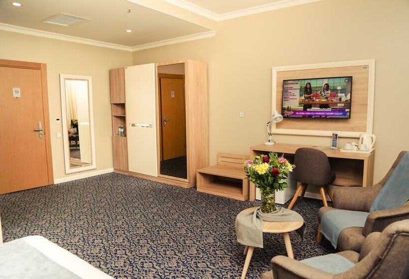חדר סטנדרט יחיד, Golden City Hotel Baku